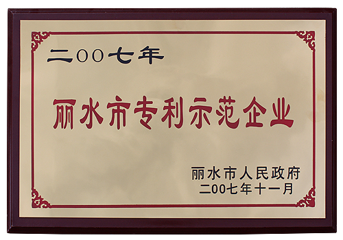 麗水市專利示范企業